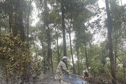 Cháy rừng tại huyện Ba Vì