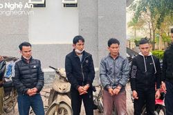 Triệt phá ổ nhóm trộm chó số lượng lớn