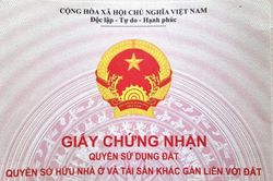 Ghi tên tất cả thành viên hộ gia đình vào một sổ đỏ: Nên hay không?