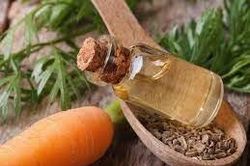 Lợi ích làm đẹp tuyệt vời của tinh dầu hạt cà rốt
