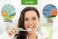 6 cách đơn giản mà hiệu quả số 1 để bảo vệ răng miệng, số 1 cần phải học ngay