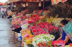 Không khí lạnh suy yếu, miền Bắc có mưa phùn trong ngày 8/3