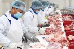 VNDirect: Mảng 3F dự phóng tăng trưởng hai con số, là 'trụ đỡ' của BAF trong năm 2023