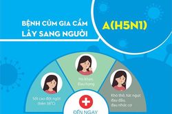 Phòng bệnh cúm A/H5N1 ở người