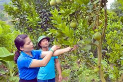 Phát huy vai trò phụ nữ trong thời kỳ mới