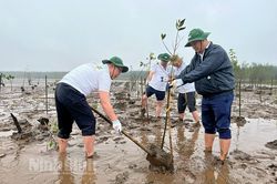 Thu hút vốn đầu tư nước ngoài vào lĩnh vực nông nghiệp