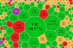 Cổ phiếu đảo chiều, VN-Index tăng hơn 11 điểm