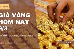 Giá vàng hôm nay 9/3: Kim loại quý cắm đầu đi xuống