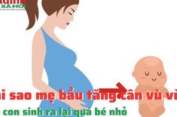 Tại sao mẹ bầu tăng cân vù vù mà con sinh ra lại quá bé nhỏ