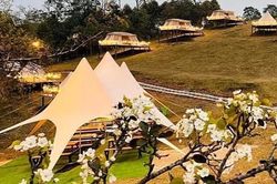Glamping đồi Đòn - điểm đến lý tưởng để cắm trại và chiêm ngưỡng vẻ đẹp của hoa lê