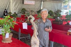 Đắk Lắk: Khai mạc Triển lãm trưng bày và Hội thi Sinh vật cảnh