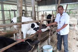 'Luồng gió mới' ở vùng đồng bào dân tộc Khmer