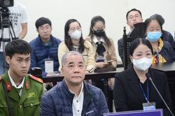 Lý do hoãn phiên tòa xét xử kỳ án chiếm đoạt 3 lô đất vàng phố Bà Triệu