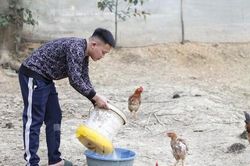 Cầu nối hoàn lương