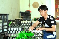 Xuất ngũ trở về quê, chàng trai 9X nuôi chí làm giàu