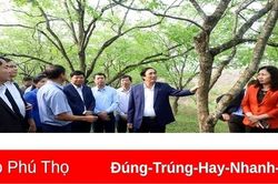 Huy động sức mạnh toàn dân xây dựng Phù Ninh trở thành huyện nông thôn mới vào năm 2025