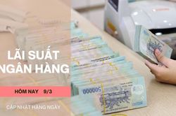 Lãi suất ngân hàng hôm nay 9/3: Mức cao nhất giảm còn 9,3%