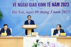 Chính phủ triển khai Chương trình hành động thực hiện Chỉ thị 15 của Ban Bí thư về ngoại giao kinh tế
