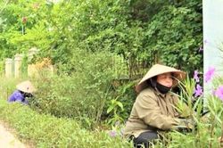 Nghĩa cử đẹp 'xây' đường hoa làm đẹp xóm làng
