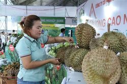 Đắk Lắk: Khởi công nhà máy chế biến trái cây 70.000 tấn mỗi năm