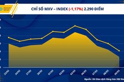 Chỉ số hàng hóa MXV- Index xuống mức thấp nhất hơn 1 năm