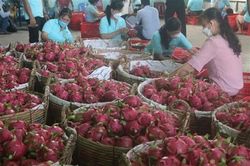 Thúc đẩy hợp tác nông nghiệp, thủy sản giữa Việt Nam với bang Kerala của Ấn Độ