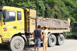Rà soát tải trọng, khổ cầu đường và cấp giấy lưu hành phương tiện