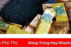 Cẩm Khê có 12 sản phẩm, nhóm sản phẩm OCOP đạt tiêu chuẩn hạng ba sao và bốn sao