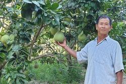 Đồng bào DTTS thoát nghèo bằng năng lực nội sinh