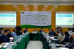 Việt Nam cần nâng cấp chính sách thu hút FDI vào tăng trưởng xanh