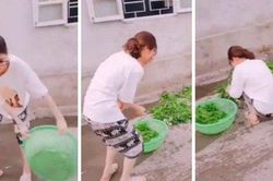 Cách vẩy rau sống 'người vụng mấy cũng làm được' khiến dân tình thích thú: Về ra mắt nhà chồng là yên tâm rồi!