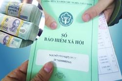 77,5% người lao động hưởng bảo hiểm xã hội một lần, tuổi từ 20 - 40