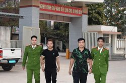 Khởi tố tài xế nhà xe Hoàng Phương vì chèn ép xe khách trên đường