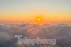 Băng rừng nguyên sinh 'săn mây' trên đỉnh núi Sừng Trâu