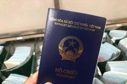 Lào Cai: Nợ thuế, lãnh đạo các doanh nghiệp Gia Bảo, Sinh Quyền và Song Kim bị hoãn xuất cảnh