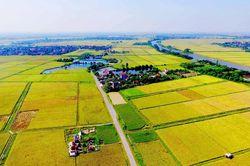 Luật Đất đai (sửa đổi): Phải giữ được đất, trồng cây gây rừng
