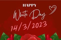 Lời chúc Valentine Trắng 14/3 hay, ý nghĩa, lãng mạn