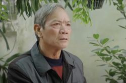 Dưới bóng cây hạnh phúc tập 34: Ông Công mỉa mai vợ chồng Danh