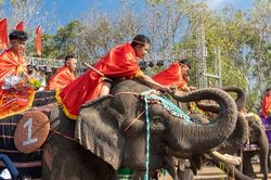 Hấp dẫn Hội voi Buôn Đôn