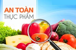 Phòng, tránh ngộ độc thực phẩm