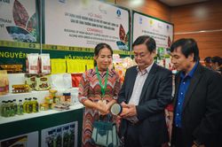 Tập trung vào phân khúc cà phê đặc sản để tối ưu giá trị cà phê Việt