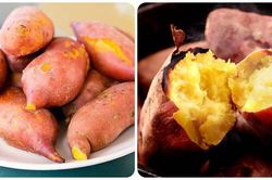 Mỗi sáng ăn một củ khoai lang tốt gấp trăm lần uống thuốc bổ
