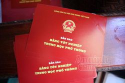 Hà Nội hủy bỏ bằng tốt nghiệp một hiệu trưởng, một giám đốc gian lận trong học tập