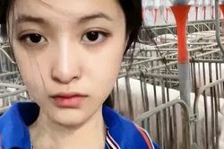 Kiếm hơn 14.500 USD nhờ việc nuôi lợn sau khi tốt nghiệp đại học
