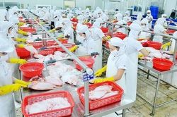 Đánh thức tiềm năng để tăng trưởng