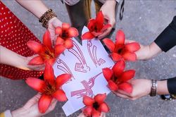 Bác Cổ - Mùa hoa gạo