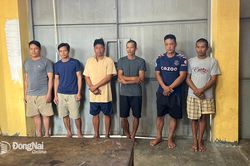 Vụ nhóm 'lâm tặc' tấn công gây thương tích cho 3 kiểm lâm: Khởi tố 6 đối tượng