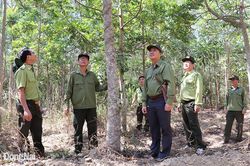 Đang cao điểm mùa khô, cần chủ động công tác phòng cháy rừng