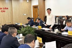 Thúc đẩy xuất nhập khẩu hàng hóa trên địa bàn tỉnh Lào Cai