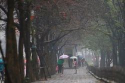 Dự báo thời tiết ngày 16/3/2023: Hà Nội mưa phùn, sương mù, trời u ám